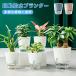  цветочный горшок сам водоснабжение посадочная машина pot пластиковый гидропонная культура декоративное растение низ водоснабжение настоящее время способ оборудование орнамент семья растения много мясо цветок растения трава кактус применение 