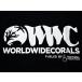 ( стандартный импортные товары )WWC T-shirt оттенок черного M size