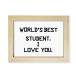 DIYthinker World Best Student I Love You Student Quote Desktop P ¹͢
