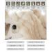 �y���K�i�z�ӂ�Ƃ�ѕz �d�C�ѕz �|���~�����p �t�����l�� �d�C�|�~�ѕz 190�~130cm �Ђ��|���ѕz �Ђ��|�� �u�����P�b�g �d�C�~���ѕz �|���ѕz �|���~���ѕz �֘A�摜3
