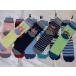 ��ANIMAL SELECT�����襤��ưʪ���å�����23��25cm