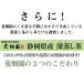 ���� �Β� �����̗t ���t ���o���Β� ���{�� �[������ �É��� �s�� ���Ԉ��݂����� 3�� �Z�[�� �|�C���g���p �|�C���g���� ���� �֘A�摜5