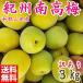  сырой слива есть перевод 3kg юг высота слива синий слива есть перевод M~2L размер Wakayama префектура производство утро брать . юг высота слива бесплатная доставка высококлассный бренд популярный нестандартный размер смешивание /. покупка 
