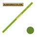  солнечный Ford Charisma цвет цветные карандаши PC1005 Limepeel lime pi-ru(SANFORD KARISMA COLOR)