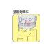 ��C�X�[�X�[�p�C�v 1�� �����H��(MIRAI) KSSP �֘A�摜1