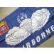 �t���b�O �� �^�y�X�g���[ �ČR �~���^���[ (AIRBORNE) 85x150cm �iARMY NAVY �� ���� �j�O�C���e���A�G�� �K���[�W���O�j