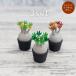 3D фигурка миниатюра 3 комплект цвет gla сверло spakipotium орнамент искусственная зелень . корень растения ko- Dex суккулентное растение LOBINDON