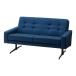 XEBb` XR[ II \t@ 2l| SWITCH Skal II Sofa 2P / 