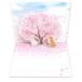 shi.... весна. цветок pop up карта Sakura / симпатичный . собака белый .. рисовое поле ... цельный карта 