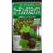 3 пакет и больше . купон скидка сад lettuce Mix вид mail. бесплатная доставка 