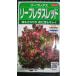 3 пакет и больше . купон скидка leaf lettuce красный вид семена mail. бесплатная доставка 
