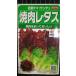 3 пакет и больше . купон скидка yakiniku lettuce красный лист chima* гибрид сельдерея и салата вид mail. бесплатная доставка chima солнечный te