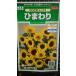 3 пакет и больше . купон скидка подсолнух срезанные цветы для срезанный цветок Mix Mukou . вид mail. бесплатная доставка 