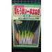 3 пакет и больше . купон скидка очень толстый 1 шт лист лук порей ..f тон gi. вид mail. бесплатная доставка 