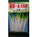 3 пакет и больше . купон скидка корень глубокий 1 шт futoshi лук порей белый .f тон gi. вид mail. бесплатная доставка 