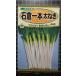 3 пакет и больше . купон скидка камень . 1 шт futoshi лук порей f тон gi. вид mail. бесплатная доставка 