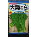 3 пакет и больше . купон скидка большой лист чесночный лук широкий ширина .. вид mail. бесплатная доставка 