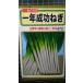 3 пакет и больше . купон скидка один год успех лук порей лук-батун . вид mail. бесплатная доставка 