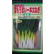 3 пакет и больше . купон скидка очень толстый 1 шт лист лук порей ..f тон gi. вид mail. бесплатная доставка 