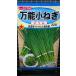 3 пакет и больше . купон скидка универсальный маленький лук порей тонкий . лук порей вид mail. бесплатная доставка 