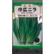 3 пакет и больше . купон скидка ширина широкий чесночный лук зеленый ремень .. вид mail. бесплатная доставка 