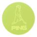 2025 год модели PING булавка neon маркер (габарит) MR.PING AC-U2509 03 желтый 