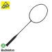  Gosen бадминтон ракетка custom край PS FLEX-R BRCEPRBB46 4U6 черный голубой бадминтон специализированный магазин . ограниченный товар 