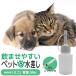  pet. pitcher 50cc syringe 5cc attaching dog cat ... etc. .. water aruke- pet. water element water . give . when convenience large spuit as with water . pushed ....[DK]