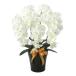  photocatalyst . butterfly orchid 5ps.@kochou Ran human work decorative plant white artificial flower interior premium . butterfly orchid 5ps.@.W