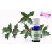 ブレンドアロマオイル クリスマス 精油 エッセンシャルオイル 10ml　