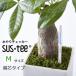 sus*tee suspension tea M size moisture meter plant for moisture meter watering expert stick type moisture meter indicator watering checker water minute perception vessel white green made in Japan susteesa stay 