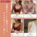 ����� �u���W���[ �m�����C���[ �V���[�c �Z�b�g ����u�� ���� ��� ���� �J�� �e�� �e�� �����W�F���[�Z�b�g ��l ���� ���f�B�[�X �֘A�摜4