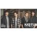 KAT-TUN бюллетень фэн-клуба 013/2015 год 