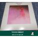 TRIGGER �ȥꥬ��/�ܾ�̤���ҡ�LP�쥳���� 12�����