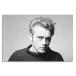 ジェームズ・ディーン  James Dean ポスター ボード パネル フレーム 75x50cm 海外 インテリア グッズ 絵 雑貨 写真 フォト アート 大判 11