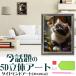 5D бриллиант искусство цветок кошка бабочка животное растения прекрасный кошка симпатичный кошка бисер картина начинающий простой DIY популярный комплект tool ручная работа дизайн декортивный элемент подарок бесплатная доставка 