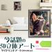5D бриллиант искусство цветок кошка бабочка животное растения прекрасный кошка симпатичный кошка бисер картина начинающий простой DIY популярный комплект tool ручная работа дизайн декортивный элемент подарок бесплатная доставка 