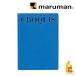  Maruman стандартный скетч A4 S231A-02 голубой maruman