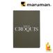  Maruman Anne щеки Raid скетч A4 S238 maruman