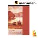  Maruman скетч накладка vi fa-ru. глаз B4 (S109V) maruman vifart