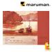 �}���}�� ���B�t�A�[�����ʎ��u���b�N �r�� F4 (B14VA) maruman vifart
