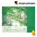 �}���}�� ���B�t�A�[�����ʎ��u���b�N ���� F6 (B26VA) maruman vifart