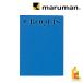  Maruman стандартный скетч B5 S242A-02 голубой maruman