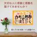 ���ӏ� �P�� �j�� �j�� ���� �v���[���g �M�t�g A4 �T�C�Y ���߂łƂ� �|�G�� �������� ���ꂳ�� ����������� ���΂������ �c�� �c�� �֘A�摜1