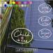 �`���C���h�C���J�[ �X�e�b�J�[ ������� �M�L�� �V���v�� ���������� CHILD IN CAR �x�r�[�C���J�[ �L�b�Y�C���J�[ ���킢��