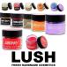 ラッシュ LUSH リップ スクラブ 20g 唇 スキンケアグッズ