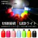 USB接続 LEDミニライト LED フラッシュ ライト 懐中電灯の代わりに モバイルバッテリーに接続 軽量 コンパクト 防災 停電
