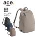 ace. Ace GENEru filler 17913 12L Ace Gene этикетка стандартный распродажа 