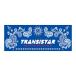 TRANSISTAR( транзистор ) HB22SE01 BLUWHT гандбол полотенце peiz Lee 22SS