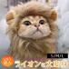  кошка головной убор для домашних животных парик лев симпатичный головной убор домашнее животное аксессуары длина .. собака кошка для шляпа фотосъемка для подарок 